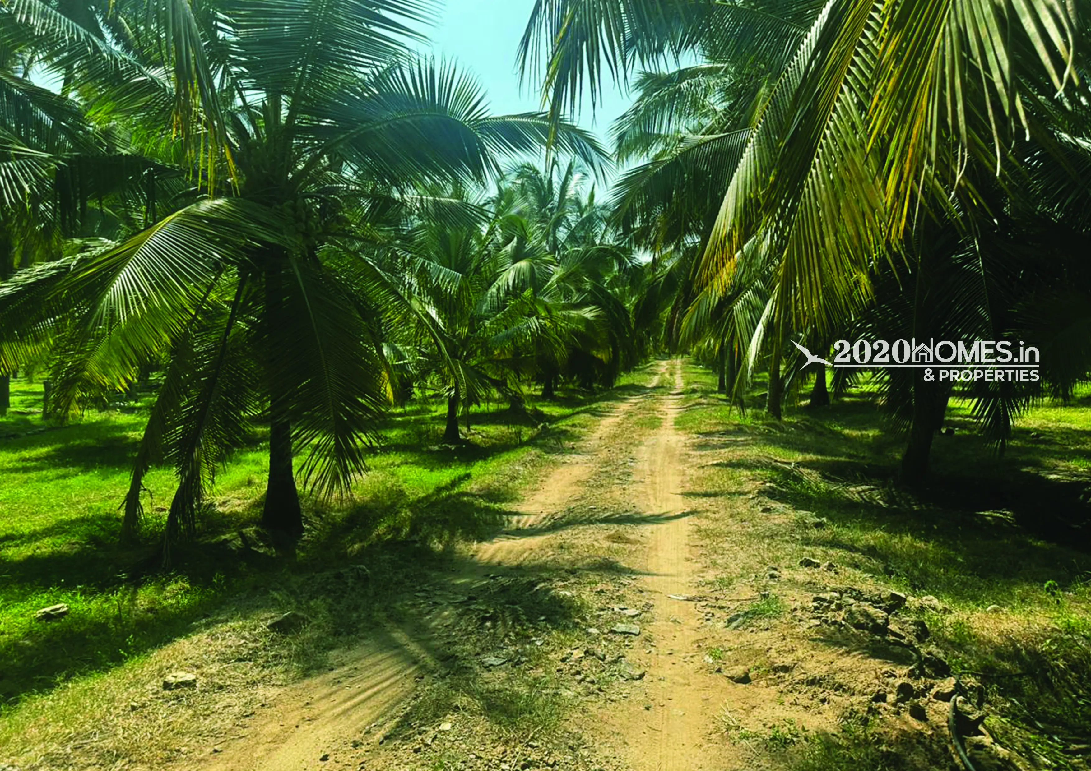 Pollachi  Duraiyur Farm